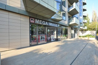 mega image domeni park